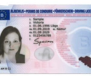 Compre Carteira de Habilitação Belga Falsa Autêntica Online de Forma Rápida e Rápida